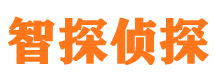 醴陵市私家侦探